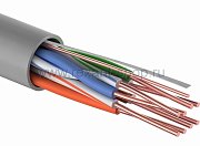 U/UTP 4PR, 24AWG, CAT5e, PVC, 100м REXANT (01-0043-100) / Кабель «витая пара» (LAN) для структурированных систем связи